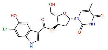 Leptoclinidine A